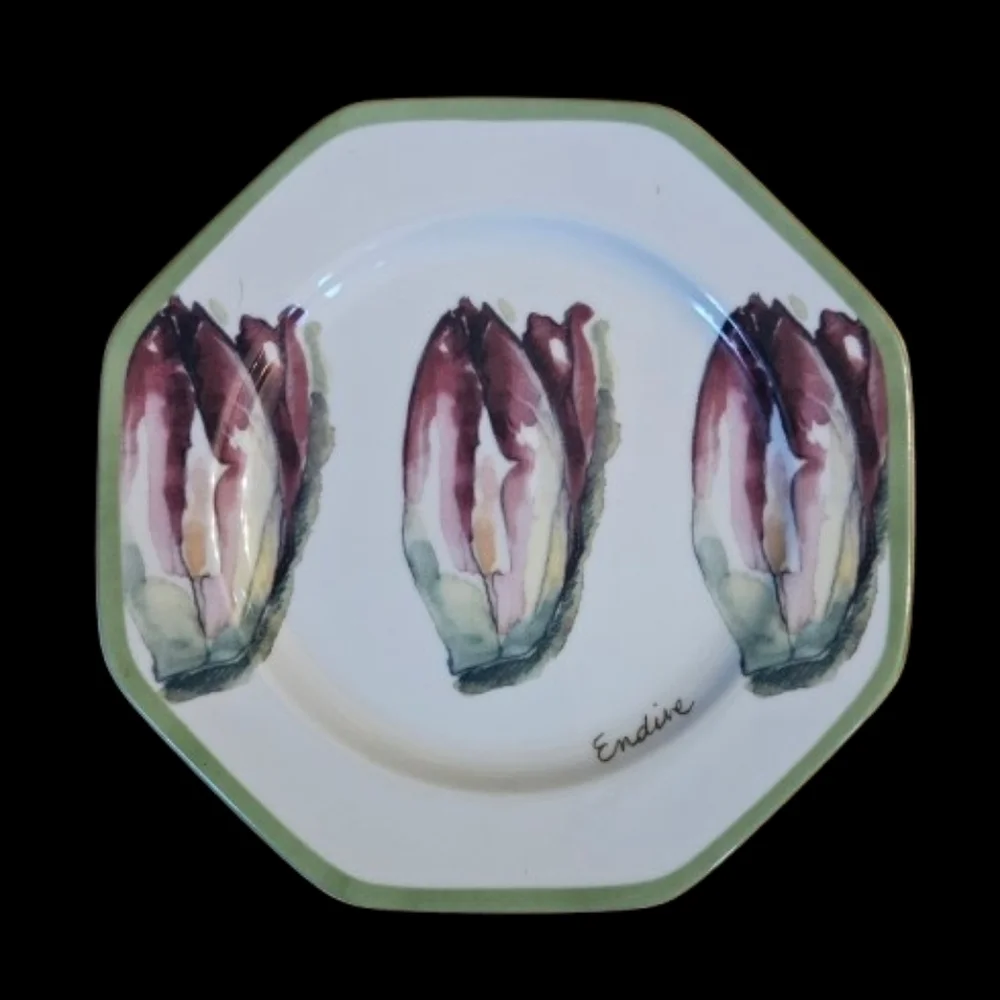 *NWOT William Sonoma Vegetable Garden Salad Plates Set Of 6